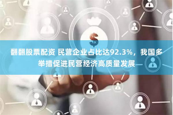 翻翻股票配资 民营企业占比达92.3%，我国多举措促进民营经济高质量发展