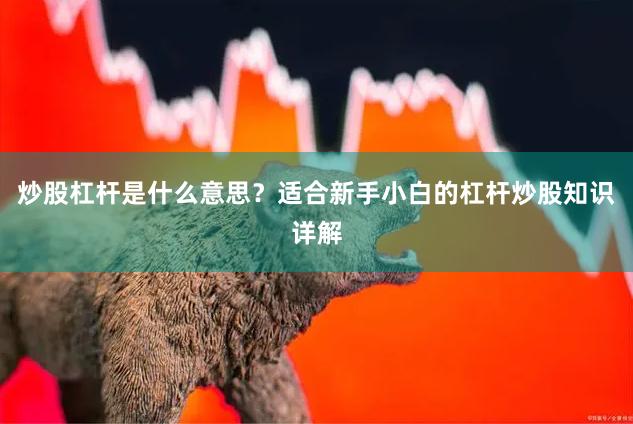 炒股杠杆是什么意思？适合新手小白的杠杆炒股知识详解