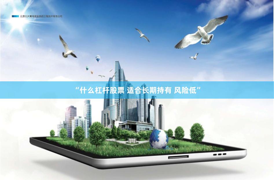 “什么杠杆股票 适合长期持有 风险低”